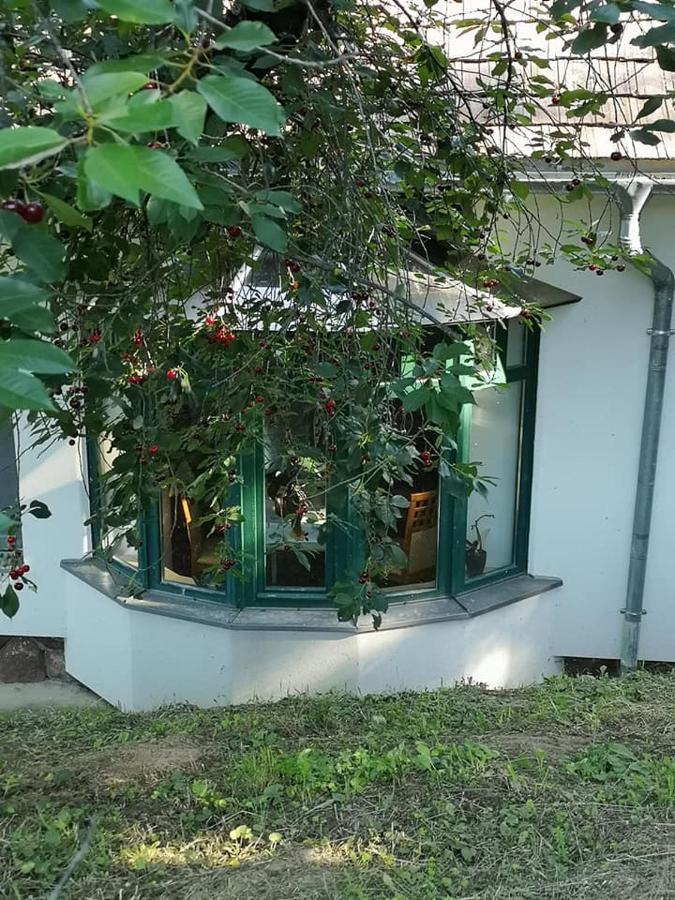 Вилла Nyugalomsziget Kotcse Экстерьер фото
