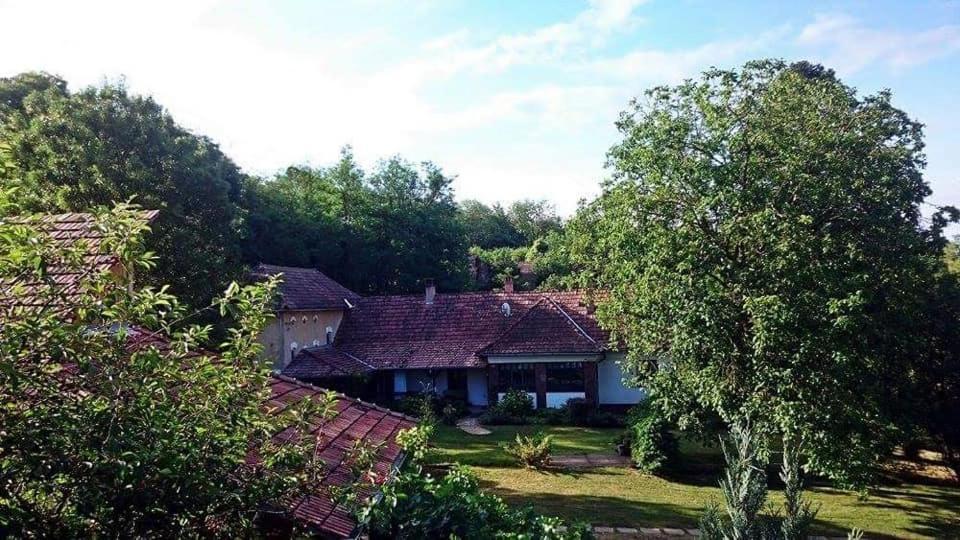 Вилла Nyugalomsziget Kotcse Экстерьер фото